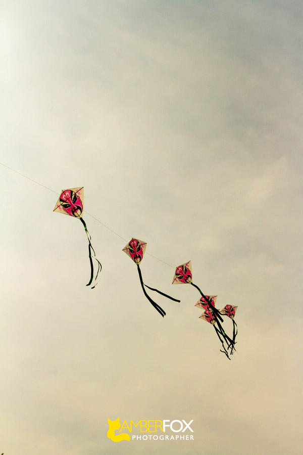 Chinese Kites, Amber Fox Photographer
