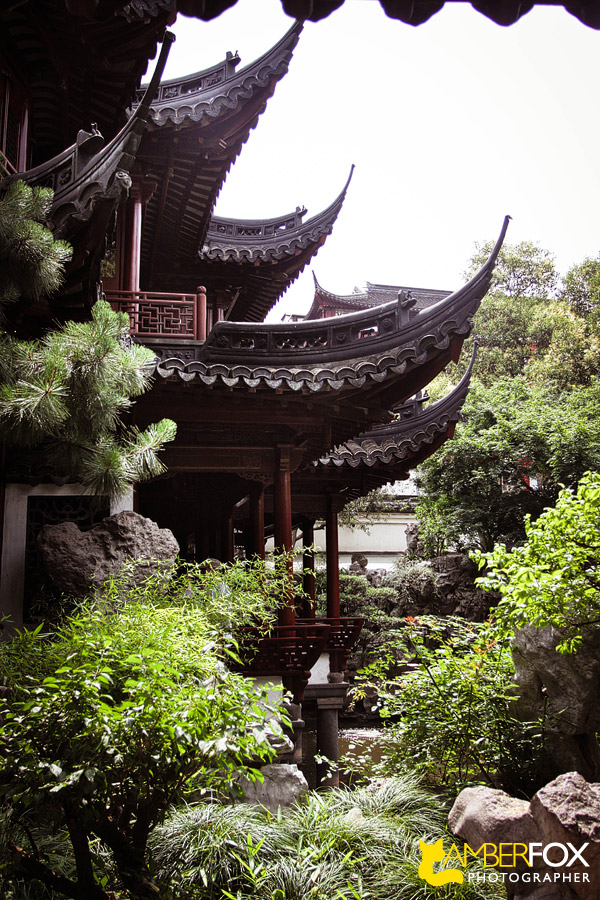 Chinese Pagoda, Amber Fox Photographer