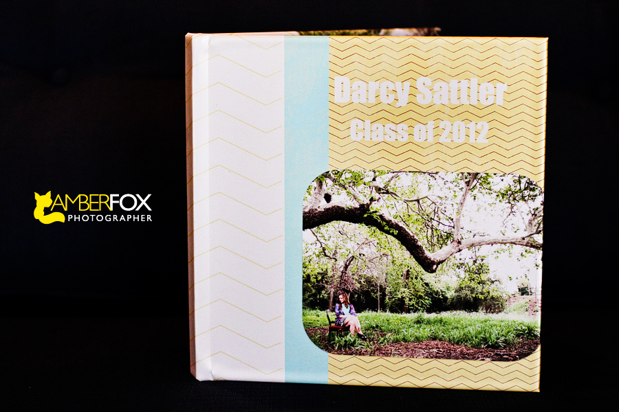 Amber Fox Photographer, Fullerton Senior Portraits, Senior Portrait Album