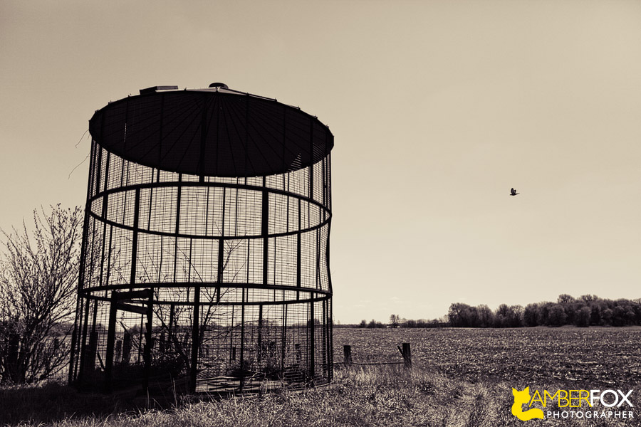 Old Barns in the Midwest, Amber Fox Photographer