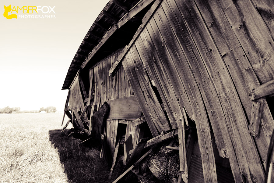 Old Barns in the Midwest, Amber Fox Photographer