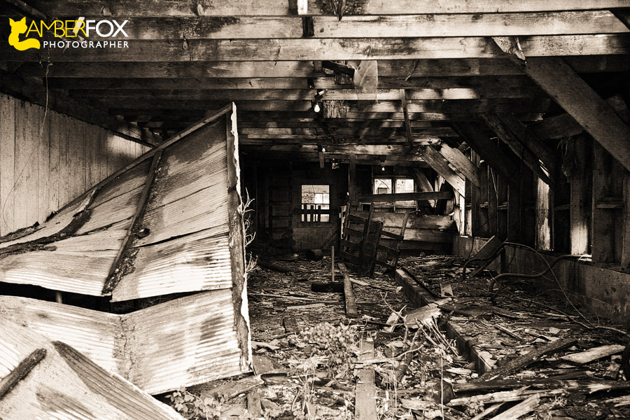 Amber Fox Photographer, Old Barns of Southern Illinois