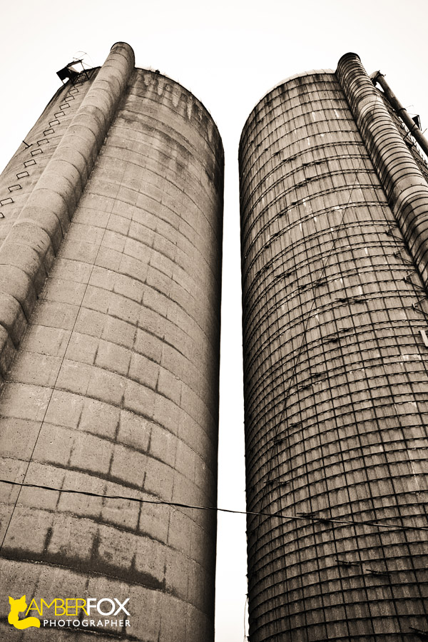 Amber Fox Photographer, Old Barns of Southern Illinois