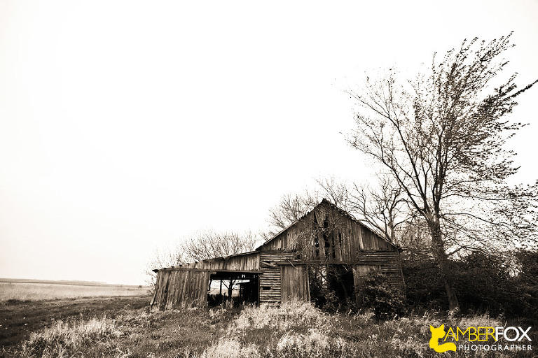 Posts Tagged Old Barns Of Illinois Amber Fox Photographer