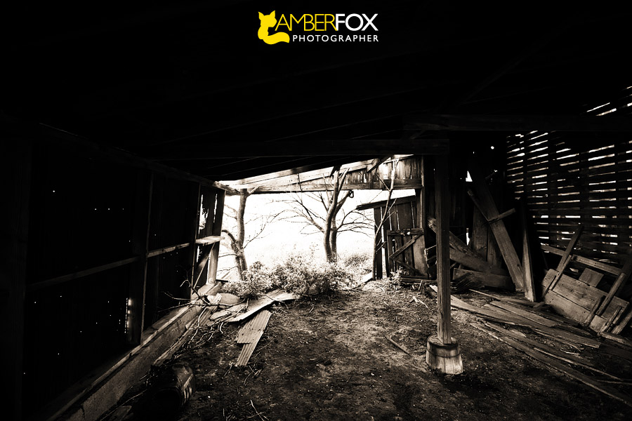 Amber Fox Photographer, Old Barns of Illinois