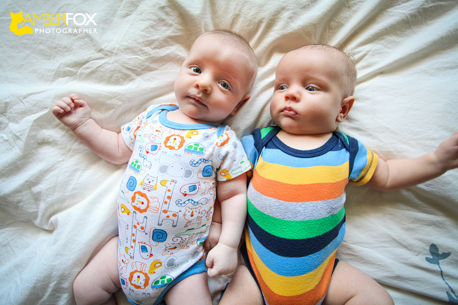 Amber Fox Photographer's Twin Boys