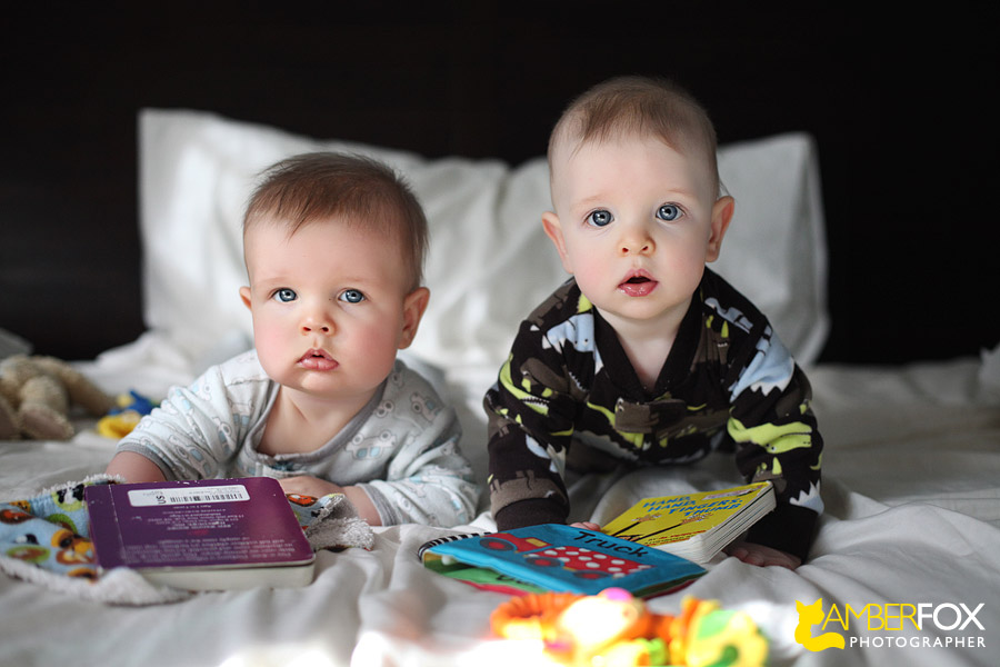 7 month old twins, Amber Fox Photographer